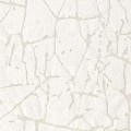 c0080d998731dd3fc82d0a182f4a4e3f