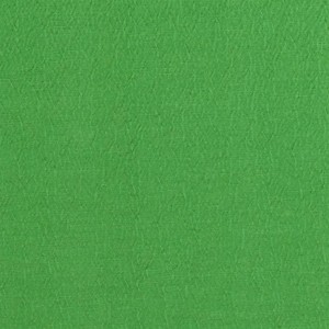 Tkanina Designers Guild Anshu Emerald FDG2896/45