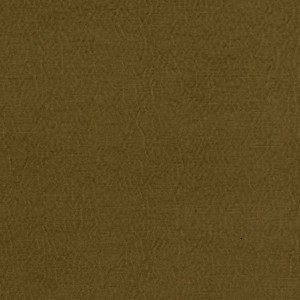Tkanina Designers Guild Anshu Moss FDG2896/39