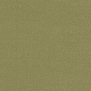 Tkanina Designers Guild Anshu Pistachio FDG2896/40