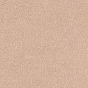 Tkanina Designers Guild Anshu Petal FDG2896/32