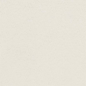 Tkanina Designers Guild Anshu Chalk FDG2896/20