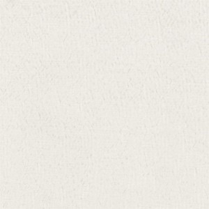 Tkanina Designers Guild Anshu Alabaster FDG2896/19