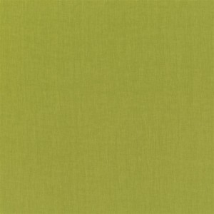 Tkanina Designers Guild Valloire Lime FDG2898/13