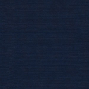 Tkanina Élitis TV 515 46 Philae ze wzorem Tekstura