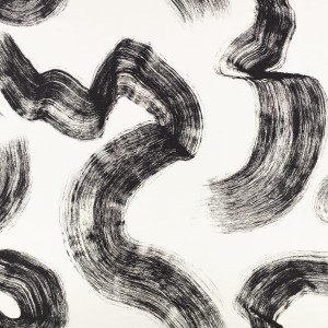 Tkanina Black Edition 01 Tsauri ze wzorem Abstrakcja