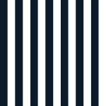 Tkanina Ralph Lauren Sporting Club Outdoor FRL5271/01 Captains Cove Stripe ze wzorem Paski