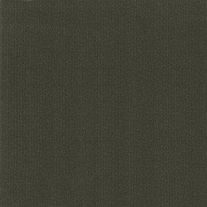 Tkanina Ralph Lauren Palazzo Collection Fabrics FRL5164/01 Harrison Corduroy ze wzorem Tekstura