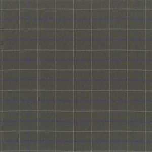Tkanina Ralph Lauren Palazzo Collection Fabrics FRL5159/01 Mclain Tattersall ze wzorem Tekstura
