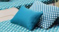 da2d6f720f4d2dfc4609ae870792fd6f