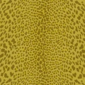 098f31095e85239a4be1c75ec88e640f
