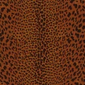 c865b33a755ed2b6401a16f6c0c74596