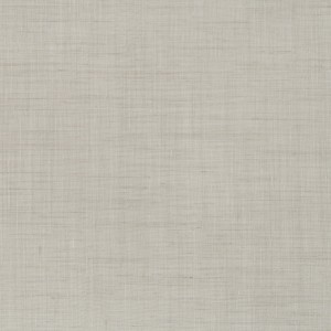 Tkanina JAB CH2816-073 Backdrop ze wzorem Tekstura