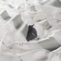 503e80c9e4609666f8dd629afc5e9ecb