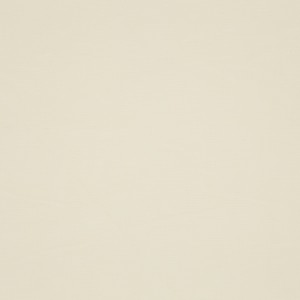 Tkanina JAB 1-6780-040 Carlo ze wzorem Tekstura