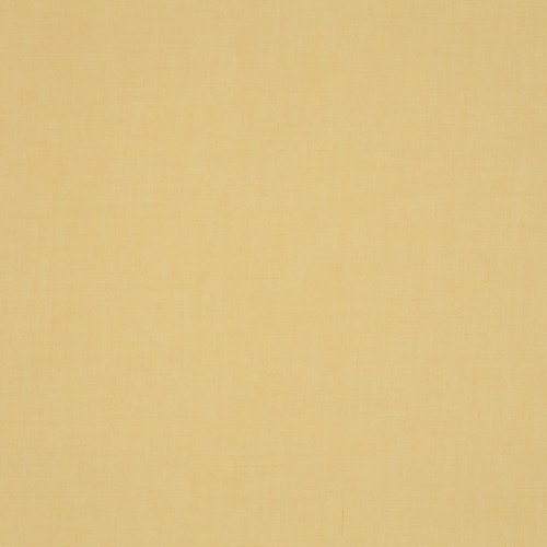 53534becef4f4a38786351a882c64827