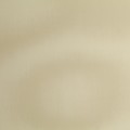 aed48b04eac73f8b1fade76a5e33ec9e