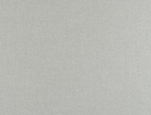 Tkanina Ridex Interior Fabrics Aresa 05