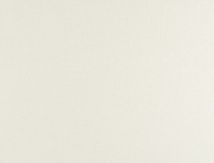 Tkanina Ridex Interior Fabrics Aresa 10