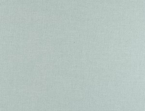 Tkanina Ridex Interior Fabrics Aresa 15