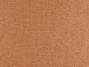 Tkanina Ridex Interior Fabrics Aresa 24
