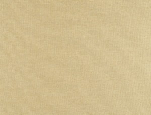 Tkanina Ridex Interior Fabrics Aresa 25