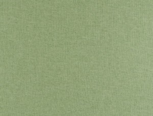 Tkanina Ridex Interior Fabrics Aresa 27