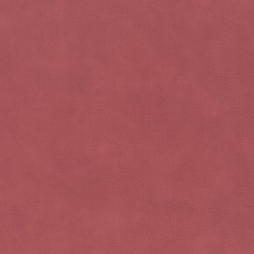 a2afe7f5935df89db85e6474ca02d463