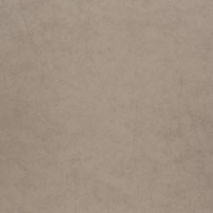 Tkanina JAB 1-1364-071 Everglade ze wzorem Tekstura