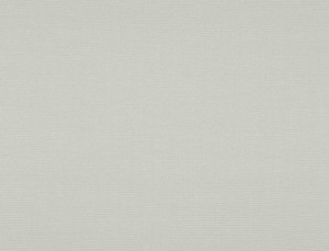 Tkanina Ridex Interior Fabrics Buren 03