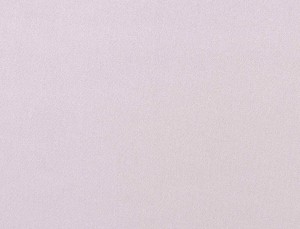 Tkanina Ridex Interior Fabrics Crown Velvet 07