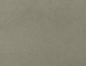 Tkanina Ridex Interior Fabrics Crown Velvet 17