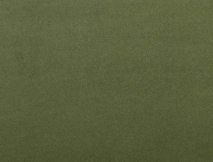 Tkanina Ridex Interior Fabrics Crown Velvet 18