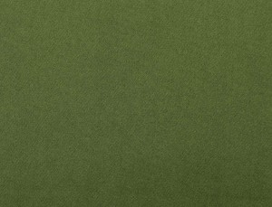 Tkanina Ridex Interior Fabrics Crown Velvet 19
