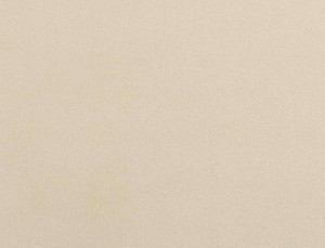 Tkanina Ridex Interior Fabrics Crown Velvet 26