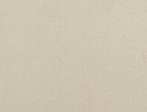 Tkanina Ridex Interior Fabrics Crown Velvet 29