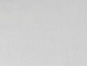 Tkanina Ridex Interior Fabrics Crown Velvet 106