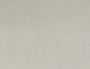 Tkanina Ridex Interior Fabrics Crown Velvet 107