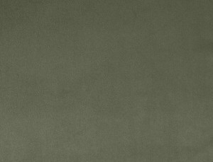 Tkanina Ridex Interior Fabrics Crown Velvet 116