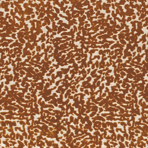 1a6b46fdd31294647e6c6b56836438ca