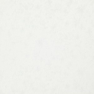 Tkanina Ridex Interior Fabrics Disco Frozen 14