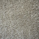 Tkanina Casamance 12441143 Sami ze wzorem Tekstura