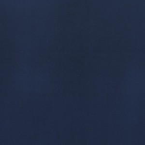 Tkanina Casamance Nuit Parisienne D3160182 Tribeca ze wzorem Tekstura