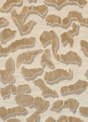 0c8db931ac1a386a6dbc7ca6d085674d