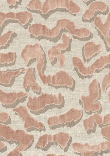 02355c9bf2606208199c8572c83bbc80