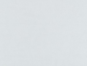 Tkanina Ridex Interior Fabrics Milanesa 03