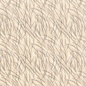 Tkanina Casamance Astelia 46060153 Euphorbe ze wzorem Tekstura