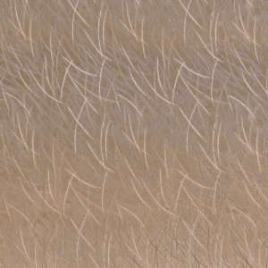 Tkanina Casamance Astelia 46060242 Euphorbe ze wzorem Tekstura