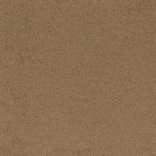 b864396f2df772393aabb68c3b41ece7