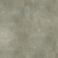 57d6b4327d8191b491c519edb1d4e202